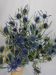 Pin By Alecia Ormsby On Madi S And Joe Blue Flower Arrangements Flower Bouquet Wedding Diy Wedding Bouquet Blue