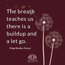 Breathe Teaching Yoga How Are You Feeling Yoga Instructions