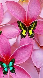 Huge collection of hd wallpapers free download for all mobile phones personalize. 33 Mobile Wallpaper On Wallpapersafari