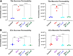 We did not find results for: Comparative Assessment Of In Vitro Bbb Tight Junction Integrity Following Exposure To Cigarette Smoke And E Cigarette Vapor A Quantitative Evaluation Of The Protective Effects Of Metformin Using Small Molecular Weight Paracellular Markers Springerlink