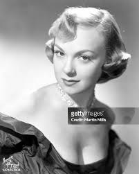 2,496点のMartin Brunoの写真と高解像度写真