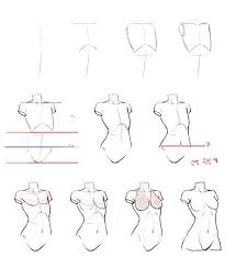 Referenzanleitung Schritt Fur Schritt Weiblicher Torso Zeichnen Zeichnen Sie Die Korper I Korperzeichnung Anime Zeichnen Lernen Zeichnungen Von Menschen