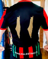 Palestino cayó de local november 22, 2020. Palestino Is More Than A Team It S A Whole People Morning Star