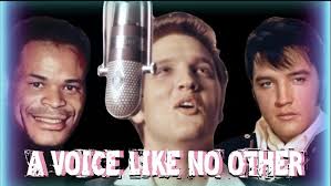 Elvis Presley Little Boy On The Hill