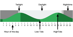 Pacific Beach Tide Tables And Daylight Times Surf Forecast