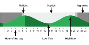 Coos Bay Tide Tables And Daylight Times Surf Forecast And