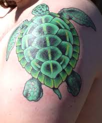 Maybe you would like to learn more about one of these? Chris Turtle Tattoo A Cover Up Of The Very First Tatoo He Flickr