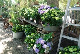 Sedan våren 2016 kan du hitta vår butik med tillhörande galleri i hagestad radby, där vi i en unik miljö erbjuder ett noggrant utvalt sortiment av inredning, växter och konst i en härlig och inspirerande blandning av nytt. Dagstur Hos Karl Fredrik Pa Eklaholm Pretty Home Blog