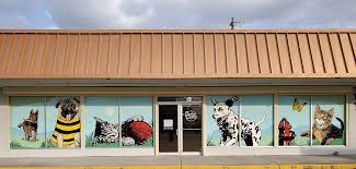I used to work there. Houston Tx 77009 Veterinarian Creature Comfort Animal Hospital