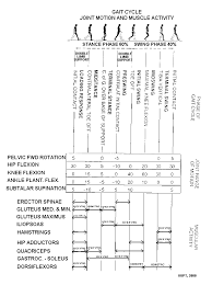 Gait Analysis Physical Therapy School Physical Therapy