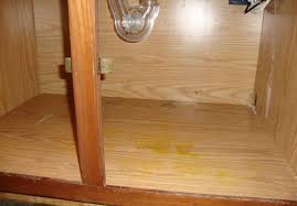Mold grows in areas with high humidity and poor air circulation, such as inside bathrooms, kitchen cabinets and closets. Mr Cabi Shield Protective Cabinet Mat Prevents Mold Prevents Water Damage Review Giveaway