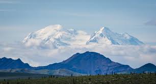 We did not find results for: Denali Park Road A Stunning Alaska Drive Hike Bike Travel