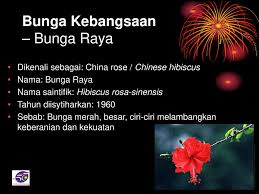 Bunga raya adalah bunga rasmi negara. Pelancaran Bulan Patriotik Ppt Download