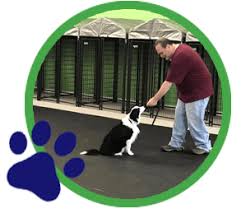 We did not find results for: 4 Paws Pet Resort Activity Center Dog Care Crystal Lake