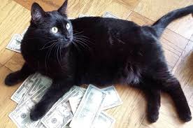 He's got an amazing name, and an even more intriguing backstory. 15 Famous Black Cat Names In Movies The Paws