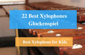 22 Best Xylophone Reviews 2019 Best Xylophone For Kids And