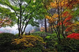Pin By Allison Kaese On Nature In My Soul Portland Japanese Garden Japanese Garden Japanese Garden Design