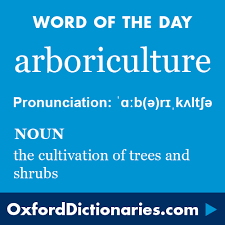 Information about moratorium in the audioenglish.org dictionary, synonyms and antonyms. Arboriculture Definition Of Arboriculture In English From The Oxford Dictionary Uncommon Words Words Word Of The Day
