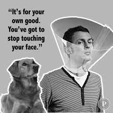 Black and white kitchens 2020 images funny animals with captions. 55 Coronavirus Memes Funny Coronavirus Memes