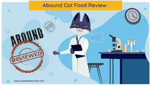 Unbiased Abound Cat Food Review 2019 Were All About Cats