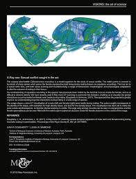 PDF) X-Ray sex: Sexual conflict caught in the act
