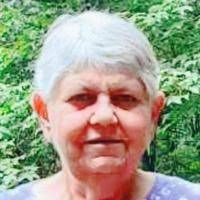 Carol A. Poitras Obituary (2024)