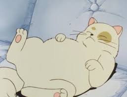 Imagefind Images And Videos About Cute Vintage And Grunge On We Heart It The App To Get Lost In What You Love Aesthetic Anime Anime Art Anime Cat