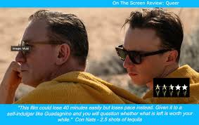 On the Screen Review: Queer