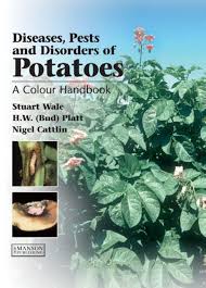 Lesions may enalrge during humid weather conditions; Diseases Pests And Disordesr Of Potatoes A Colour Hanbdbook By Virgiulloac Issuu