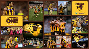 It is licensed by the afl, players association and hawthorn football club. Afl Wallpapers Wallpaper Cave