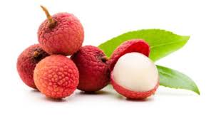 Litchi Les Fruits Fruit Egg Cup Radish
