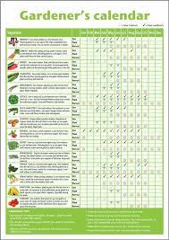 A3 Novice Gardener S Beginner S Vegetable Growing Gardening Calendar Garden Plants Vegetable Garden Calendar Gardening For Dummies
