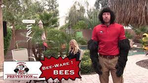 Bulwark exterminating, on point pest control, varsity termite and pest control, environmental pest solutions, stapley pest control, inc. Home Arizona Pest Prevention