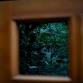 Exploring Photography: Framing Your Shot event image