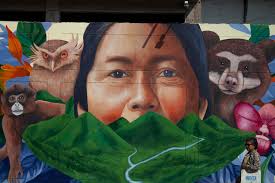 BPAM-Origen del rio Mayo. Biodiversidad del Bosque de Protección Alto Mayo  y su importancia, pues en su interior nace el río Mayo que abastece de agua  a las provincias de Moyobamba y