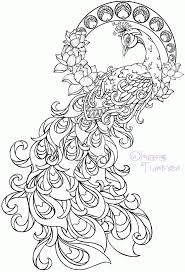 11 free printable adult coloring pages peacock coloring pages. Adult Coloring Pages Peacock Coloring Home