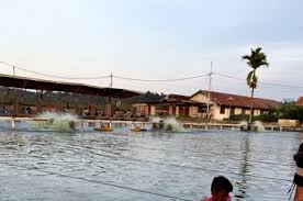 Asiknya Ikut Event Gt Tjui Palace Pelampungan Mas Kpj Di Kaltim Kabar Mancing