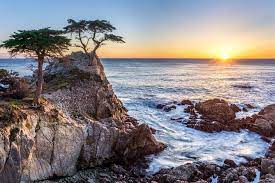 Find monterey hotels, things to do, restaurants, beaches and trip ideas. Tagesausflug Ab San Francisco Nach Monterey Und Carmel Sowie Auf Dem 17 Mile Drive 2021 Tiefpreisgarantie