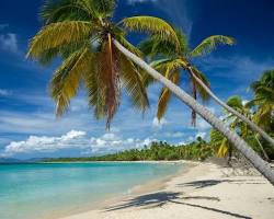 Image de Grande Anse des Salines beach, Martinique
