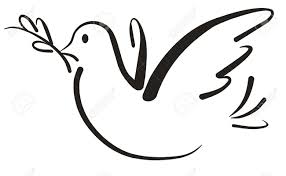 Dove Holding An Olive Branch In A Symbol Of Peace And Unity Royalty Free Cliparts Vectors And Stock Illustration Image 6601956 ✓ free for commercial use ✓ high quality images. dove holding an olive branch in a symbol of peace and unity