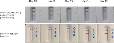 In the case of a positive antigen test result that yields a negative pcr test result, however, the problem could have more to do with how the test was done. Rapid Detection Of Sars Cov 2 Antigen From Serum In A Hospitalized Population Medrxiv