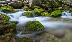 Mais lorsqu'une construction se trouve située en limite de propriété, comment installer les gouttières et comment éliminer les eaux pluviales sans empiéter l'article 681 du code civil est très clair : Prix D Un Sourcier En 2021