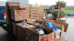 Des Tonnes De Fruits Et Legumes A La Poubelle