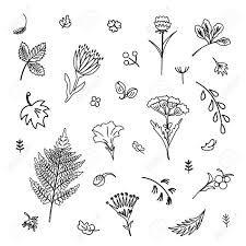 Click on the different category headings to find out more and change our default settings. Collection Of Flowers And Plants Used For Various Types Of Design Linear Style Vector Illustration Royalty Free Cliparts Vectors And Stock Illustration Image 124931015