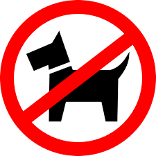 Prohibited tv is a freedom of speech streaming platform built by streamers, for streamers. Dog Walking Is Prohibited Icons Png Free Png And Icons Downloads