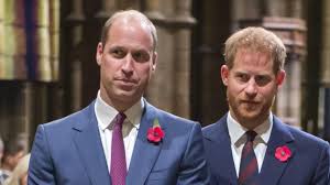 Meghan and harry will not be involved in investigation, announced just before oprah winfrey interview. Prinz Harry Beweist Humor So Cool Reagiert Er Auf Die Frage Nach Bruder William