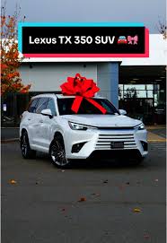 Image result for Wind Chill 2025 TX