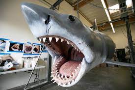 You have the lower and upper jaws of about two to three rows. Last Replica Shark From Jaws Gets Makeover From Effects Master Nicotero Npr