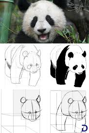 Des ronds, des ovales, des triangles arrondis! Comment Dessiner Un Panda Comment Dessiner Un Panda Panda Dessin Dessin
