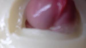 オナホールで中出し。内面図